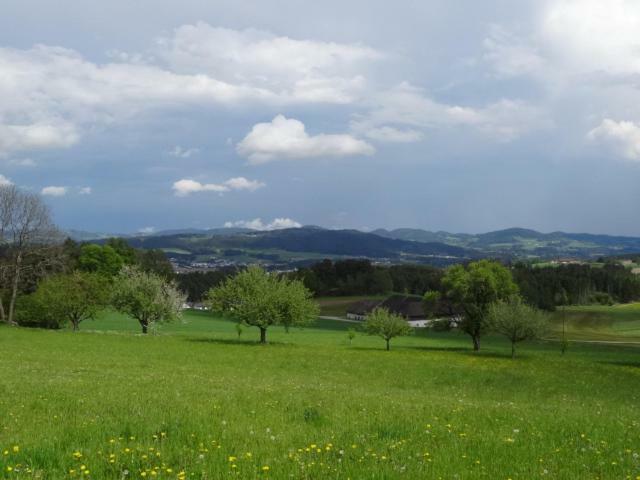 Desl'S Little Farm Appartement Waldburg Buitenkant foto
