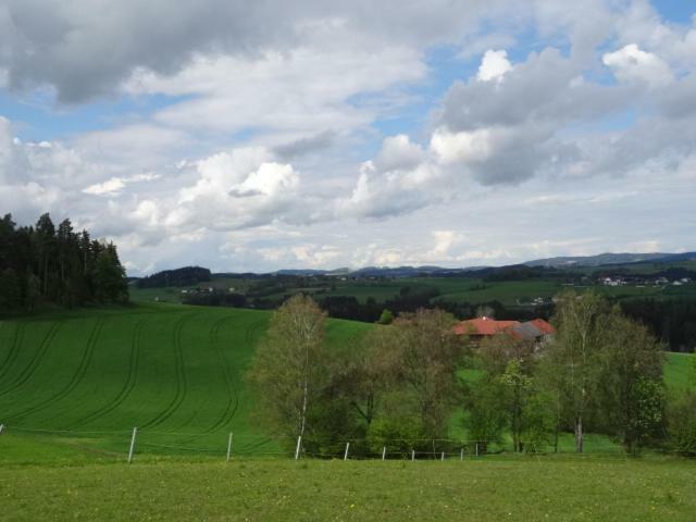 Desl'S Little Farm Appartement Waldburg Buitenkant foto